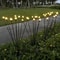 Solar Garden Firework Light Outdoor Waterproof Lawn Lamp 1