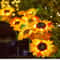 Solar Sunflower Garden Light 3