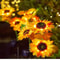 Solar Sunflower Garden Light 3