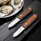 Stainless Steel Oyster Knife With Wooden Handle 2