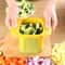 Multifunctional Cucumber Potato Slicer Household Hand Pressure Vegetable Chopper 2