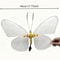 LED Butterfly Light With Dynamic Or Static Display For Outdoor And Home Decorations 6