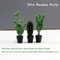 Mini Dollhouse Plant Set Pack Of 5 1