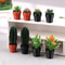 Mini Dollhouse Plant Set Pack Of 5 4