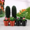 Mini Dollhouse Plant Set Pack Of 5 5