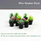 Mini Dollhouse Plant Set Pack Of 5 7