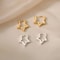 Stainless Steel Star Hoop Earrings 4