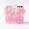 Girls Bow Hair Clip Set 3 Pack 13