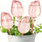 Pink Tulip Self Watering Plant Bulbs For Indoor And Outdoor Pots 8