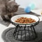 Ceramic Cat Food Bowl With Optional Raised Iron Stand 4