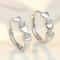 Heart Small Hoop Earrings For Women 0