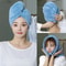 QuickDry Microfiber Hair Towel Cap For Women 2