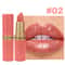 Pearlescent Matte Glitter Lipstick 9