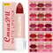 Velvet Matte Lipstick Long Lasting Waterproof Non Stick 0
