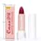 Velvet Matte Lipstick Long Lasting Waterproof Non Stick 4