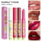 Silky Click Lip Care Hydrating Solid Lip Gloss With Mirror Shine 2