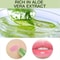 Color Changing Lipstick Aloe Moisturizing Long Lasting Lip Care 2