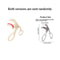 Dual Type Eyelash Curler With Comb For Natural Long Lasting Curl 4
