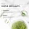 Matcha Exfoliating Gel For Deep Cleansing And Skin Renewal 60g 3