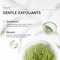 Matcha Exfoliating Gel For Deep Cleansing And Skin Renewal 60g 3