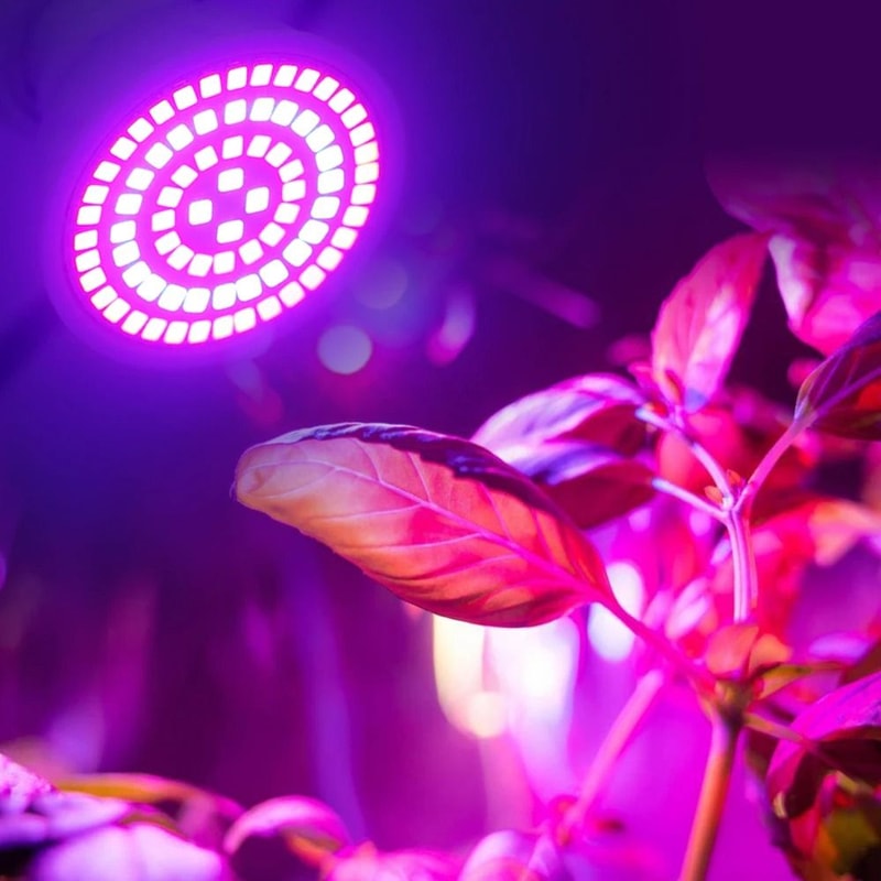Full Spectrum LED Grow Bulb For Indoor Plants E27 60 And 80 LED Options 2
