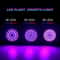 Full Spectrum LED Grow Bulb For Indoor Plants E27 60 And 80 LED Options 4