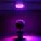 Full Spectrum LED Grow Bulb For Indoor Plants E27 60 And 80 LED Options 5
