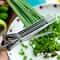 5Layer Stainless Steel Kitchen Scissors Herb Shredder 2