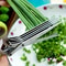 5Layer Stainless Steel Kitchen Scissors Herb Shredder 2