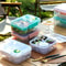 Double Layer Bento Lunch Box With Carry Handle 3