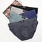 Mens Cotton Briefs Breathable Comfort Underwear 5 Pack 7