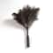 Extendable Ostrich Feather Dust Duster With Long Handle 6