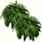 Realistic Artificial Boston Fern Greenery For Indoor And Outdoor Decor 1