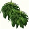 Realistic Artificial Boston Fern Greenery For Indoor And Outdoor Decor 1