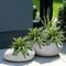 Realistic Artificial Boston Fern Greenery For Indoor And Outdoor Decor 3