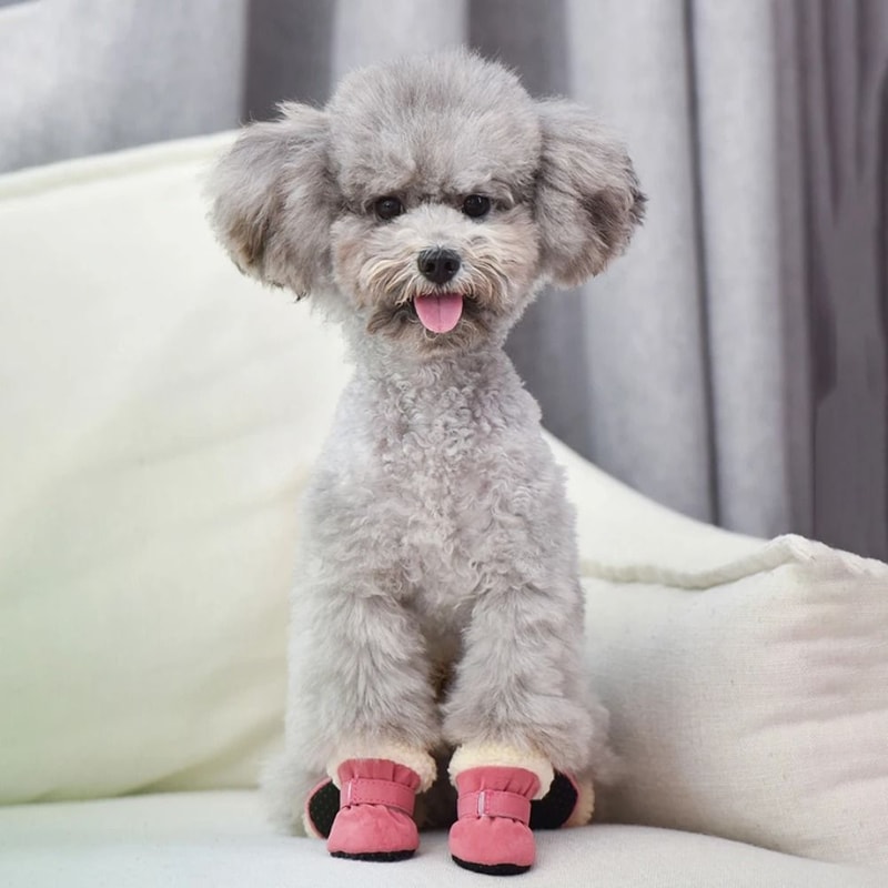 Warm Waterproof Dog Snow Boots With Non Slip Soles Set Of 4 1