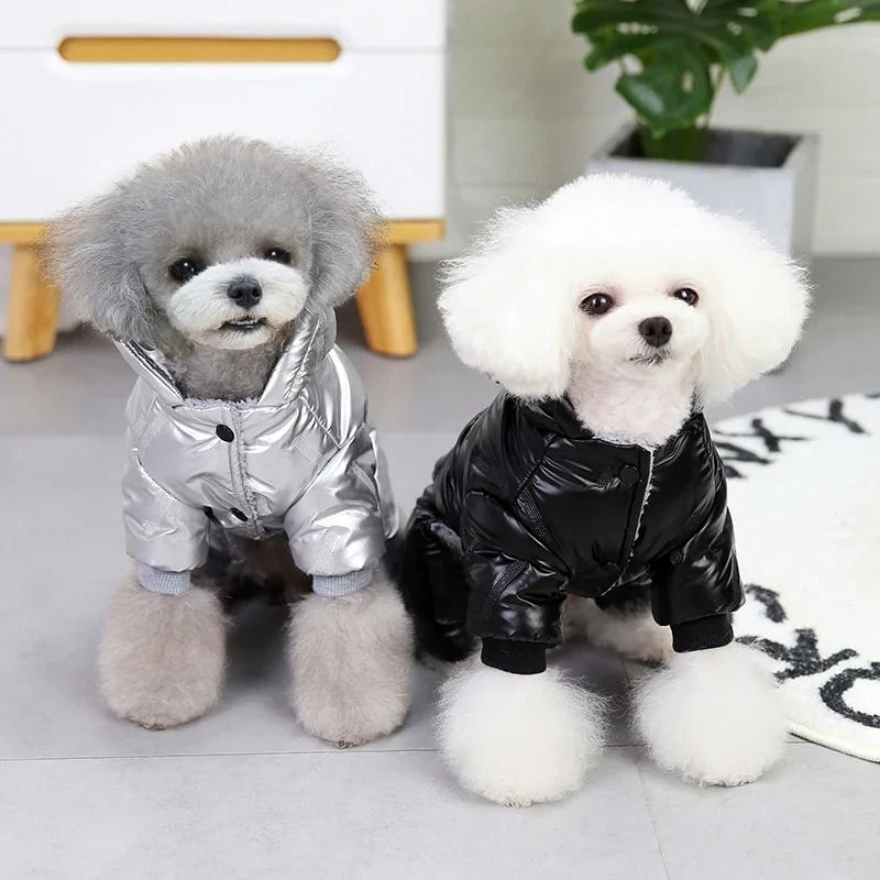 Waterproof Dog Winter Overall Jacket For Cold Weather Walks 2