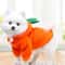 Cute Fruit Fleece Dog Hoodie For Small Dogs And Cats 3