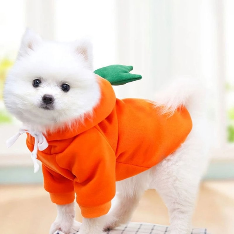 Cute Fruit Fleece Dog Hoodie For Small Dogs And Cats 3