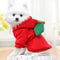 Cute Fruit Fleece Dog Hoodie For Small Dogs And Cats 4