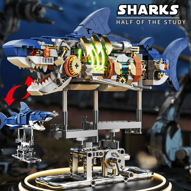 shark building kit with display