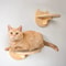 Wall Mounted Cat Climbing Shelf With Sisal Scratching Steps 6