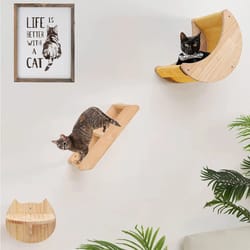 moon shaped cat wall shelf and climbing steps set