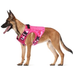 military pink camouflage dog harness with adjustable leash