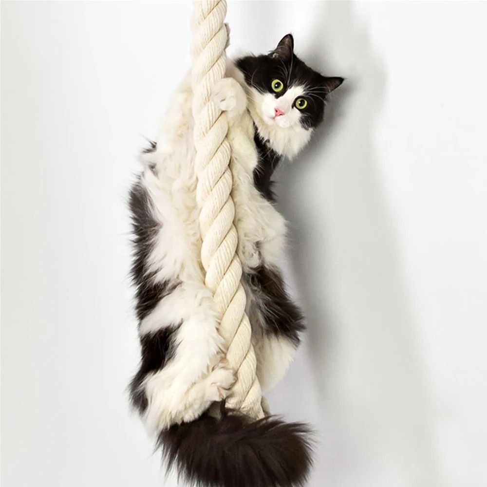 Wall Mounted Cat Climbing Rope And Scratching Post 3