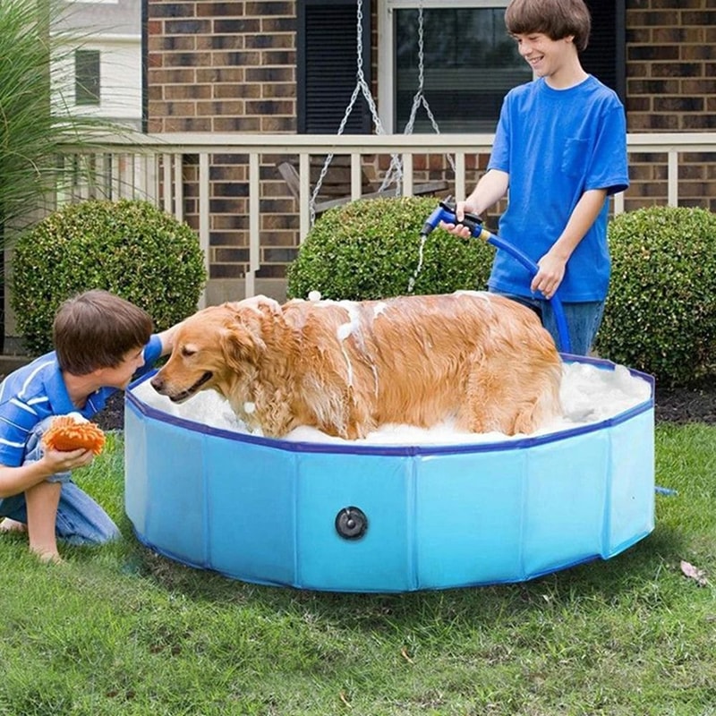 Portable Dog Swimming Pool And Folding Pet Bathtub For Large Dogs 3
