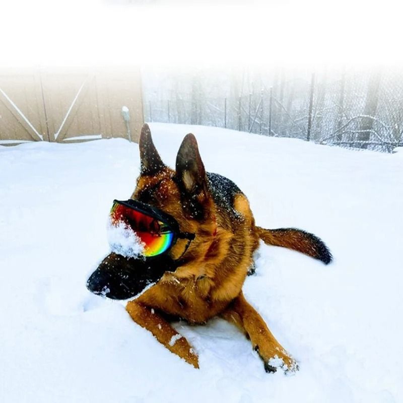 Anti UV Dog Goggles Sunglasses For Windproof Outdoor Eye Protection 2