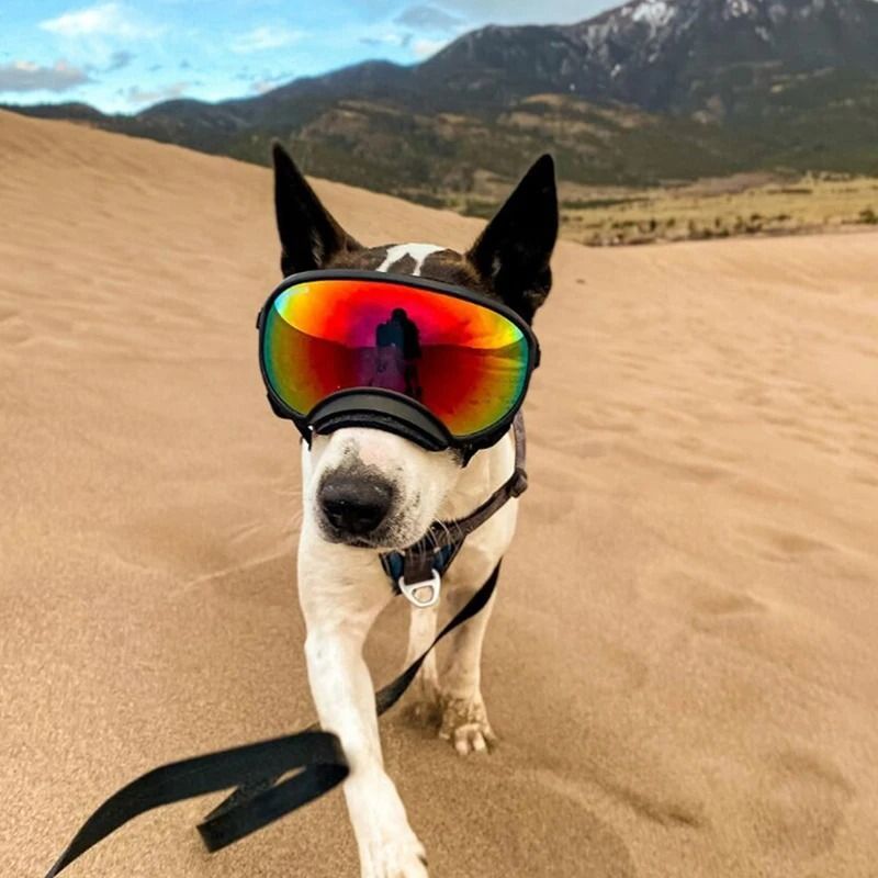 Anti UV Dog Goggles Sunglasses For Windproof Outdoor Eye Protection 3