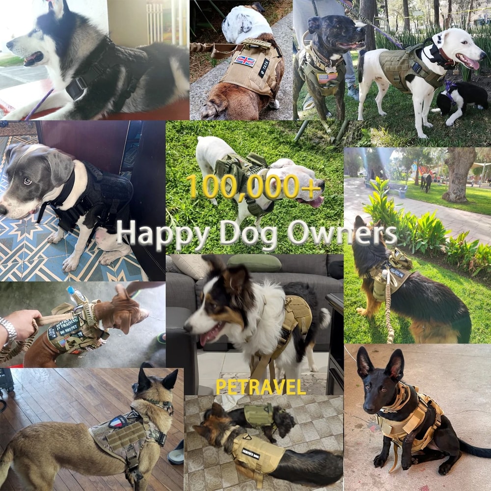 Tactical Dog Harness Set With Adjustable Collar Leash Molle Pouch And Training Vest 5