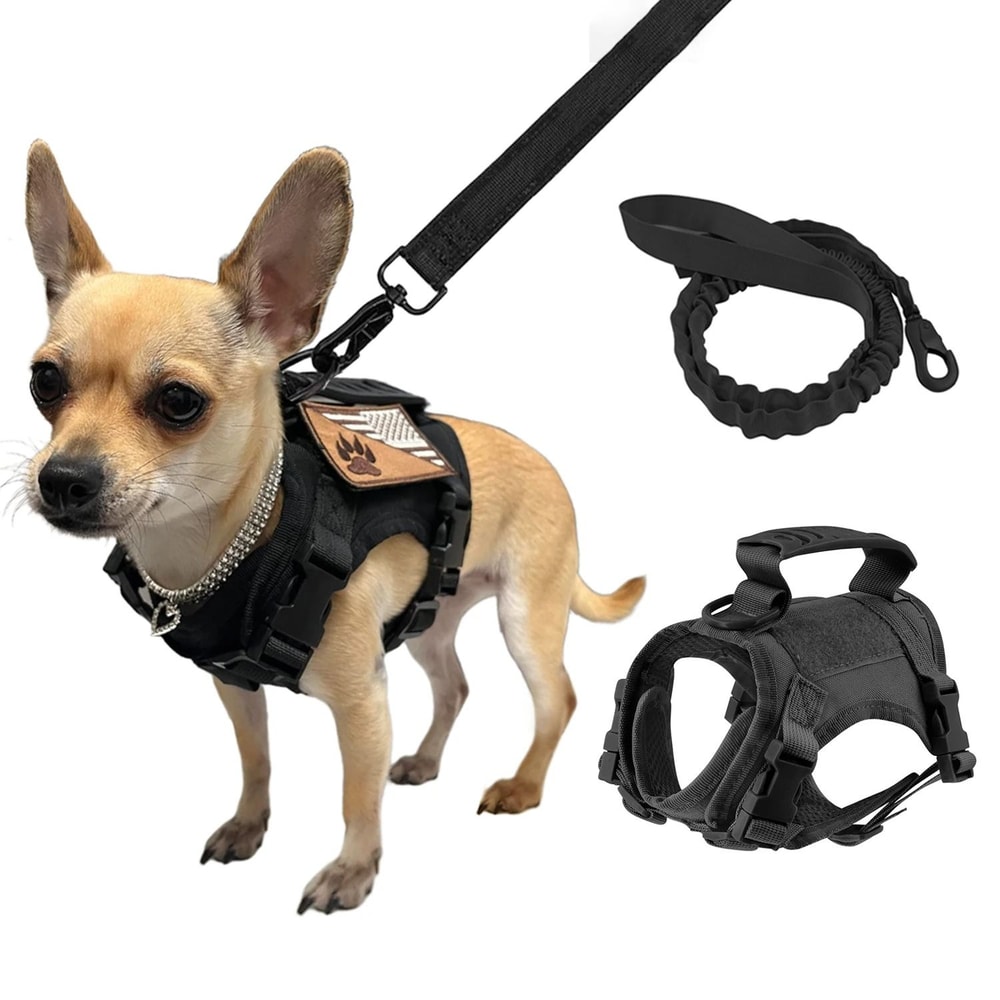 Adjustable Tactical Cat And Puppy Harness With Leash For Secure Training Walks 1